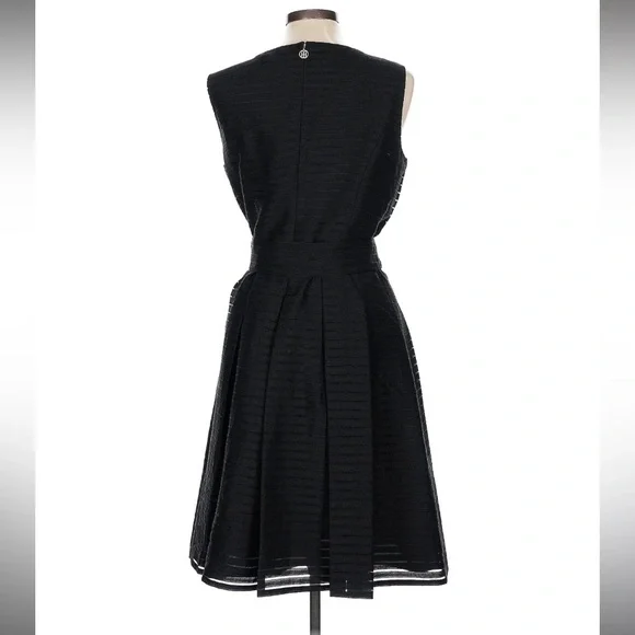 Elegant Black Sleeveless Dress - Picture 2 of 3